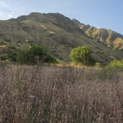 IMG 2656
