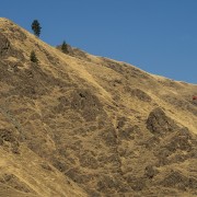 IMG 2684