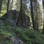 IMG 2753