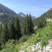 IMG 2940