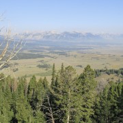 IMG 3008