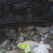 IMG 3054