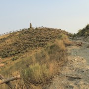 IMG 3178