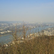 IMG 3231
