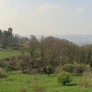 IMG 3248