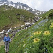 IMG 6685