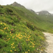 IMG 6798