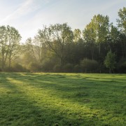 IMG 7003