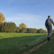IMG 7004