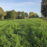 IMG 7005