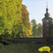 IMG 7010