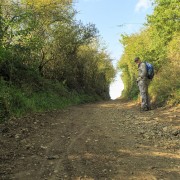 IMG 7018