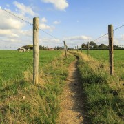 IMG 7039
