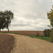 IMG 7212