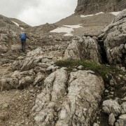 IMG 8086