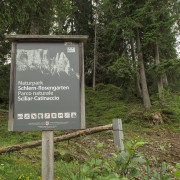 IMG 8486