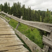 IMG 8495