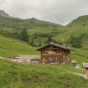 IMG 8497