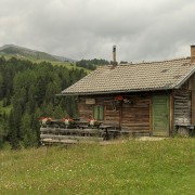 IMG 8512