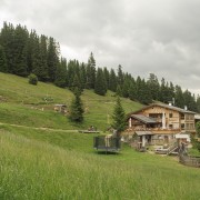 IMG 8523