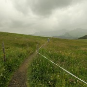 IMG 8526