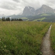 IMG 8534