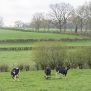 IMG 7378