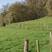 IMG 7577