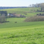 IMG 7585