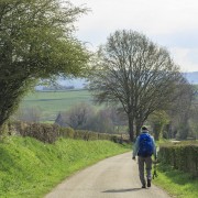 IMG 7586