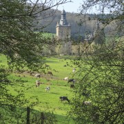 IMG 7593