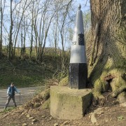 IMG 7602