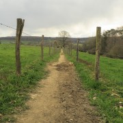 IMG 7610