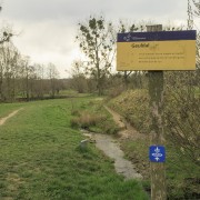 IMG 7613