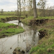 IMG 7616