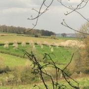 IMG 7633