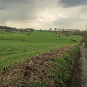IMG 7652