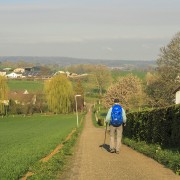 IMG 7676