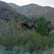 20230309 IMG 1460