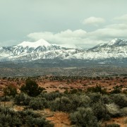 20230319 IMG 2608