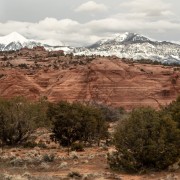 20230319 IMG 2609