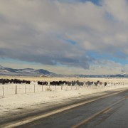 20230322 IMG 2851