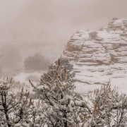20230324 IMG 3168