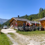 IMG 4261