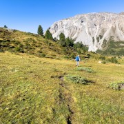 IMG 4294