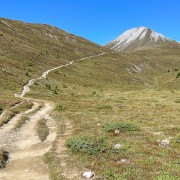IMG 4307