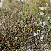 IMG 4327