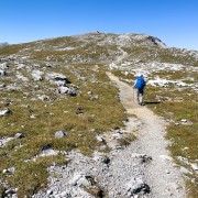 IMG 4335