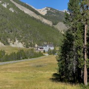 IMG 4379