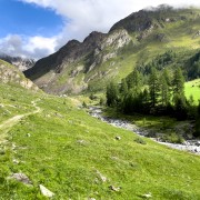 IMG 4862